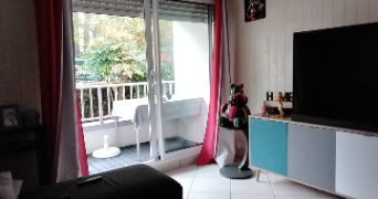 jean michel pet sitter à STE LUCE SUR LOIRE 44980_2