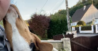 lea pet sitter à LA FERTE IMBAULT 41300