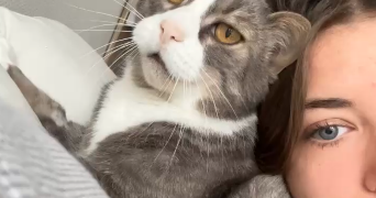 maelle pet sitter à GRENOBLE 38000_3