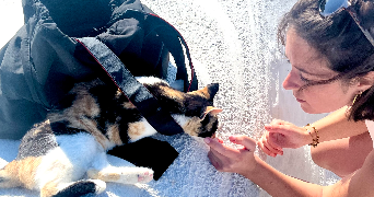 manon pet sitter à MARSEILLE 07 13007_0