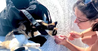 manon pet sitter à MARSEILLE 07 13007