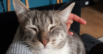 Camille pet sitter à BOULOGNE BILLANCOURT 92100_0