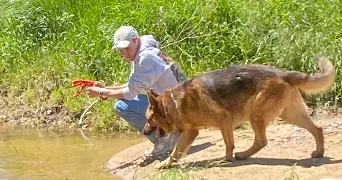 mathéo pet sitter à VEZEZOUX 43390