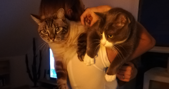 dorothée pet sitter à OBERHAUSBERGEN 67205_2