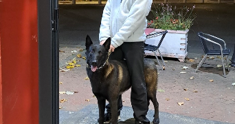 léane pet sitter à COUDES 63114_3