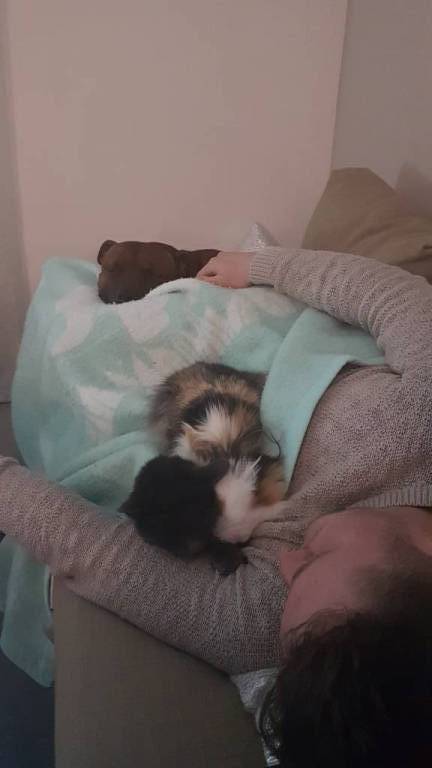 Gladys pet sitter à Saint-Augustin 77515_6