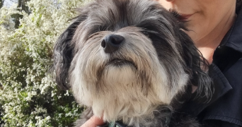 cyrielle pet sitter à SURESNES 92150_8