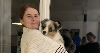 inès pet sitter à ST SULPICE DES LANDES 35390_0