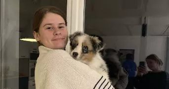 inès pet sitter à ST SULPICE DES LANDES 35390