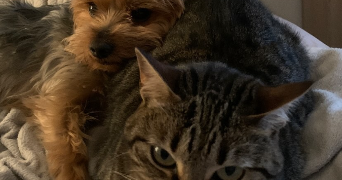 yuna pet sitter à BORDEAUX 33000_3
