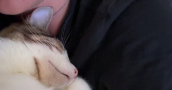 aurelia pet sitter à LES SABLES D OLONNE 85100_1