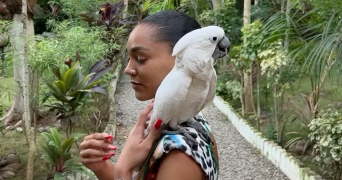 anis pet sitter à CONFLANS STE HONORINE 78700_1