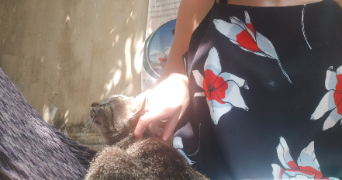 charlotte pet sitter à Paris 75018_1