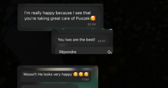 pauline pet sitter à STRASBOURG 67000_6