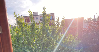 anouk pet sitter à MONTREUIL 93100_5