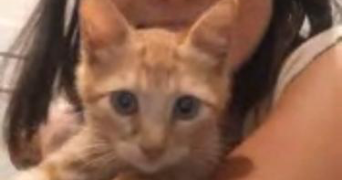 morgane pet sitter à ST RAPHAEL 83700_3