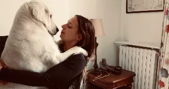 phoenicia pet sitter à LAMORLAYE 60260