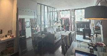 sasha pet sitter à PARIS 02 75002_1