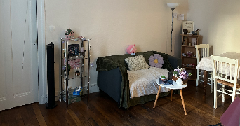 lisa pet sitter à ST ETIENNE 42000_3