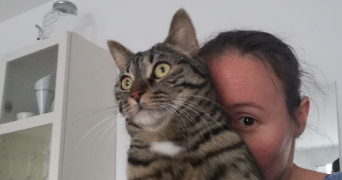 lisenn cat sitter à MAISONS ALFORT 94700_2