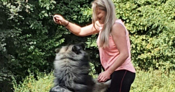 julie pet sitter à MULHOUSE 68100_6