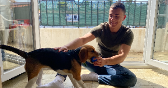 valentin  pet sitter à PERPIGNAN 66000_5