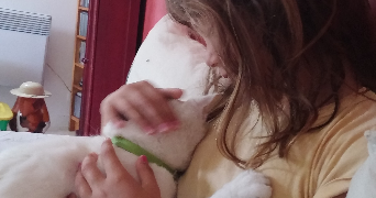 ciara pet sitter à  91720