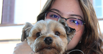 isabella pet sitter à STIRING WENDEL 57350_1