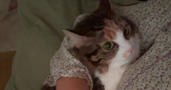 farah pet sitter à CHAMPIGNY SUR MARNE 94500_6