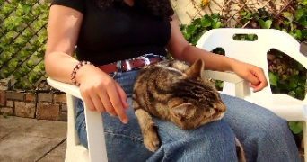 emma pet sitter à ST GRATIEN 95210_1