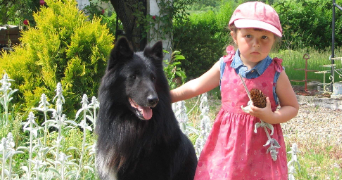 florence pet sitter à LA CHAPELLE BOUEXIC 35330_6