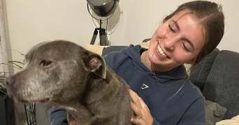marilou pet sitter à MAUREPAS 78310_3