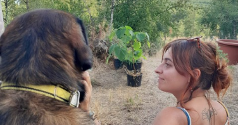 sohalia camille pet sitter à MONTGAILLARD 81630_1