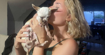 emy pet sitter à MONTPELLIER 34070_3