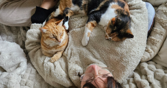 johanna pet sitter à PERPIGNAN 66100_1