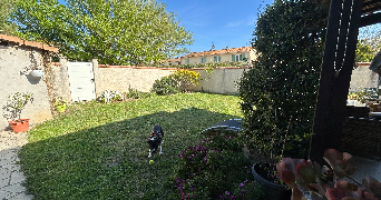 paule dog sitter à ST MARTIN DE CRAU 13310_3