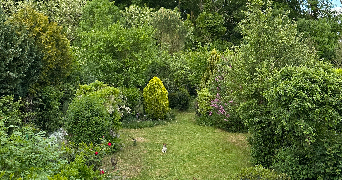 anne dog sitter à CLAMART 92140_2