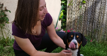 virginie pet sitter à VILLENAVE D ORNON 33140_0