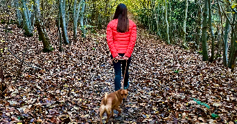 karolina  pet sitter à BAILLY 78870_9