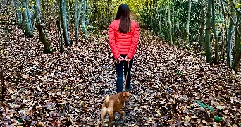 karolina  pet sitter à BAILLY 78870