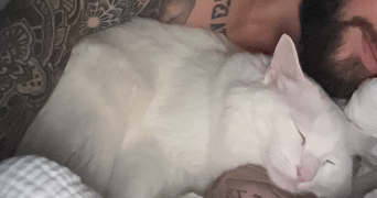 konogan pet sitter à LEVALLOIS PERRET 92300_2