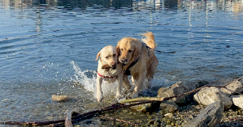 léa pet sitter à FREJUS 83600_1