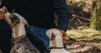 jordan pet sitter à CUVAT 74350_1