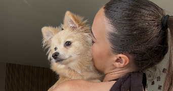 julie pet sitter à MARLY 59770_0