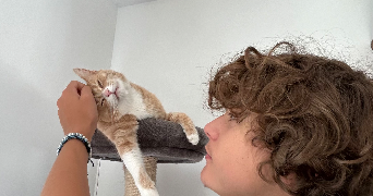 gabin pet sitter à LILLE 59000_1