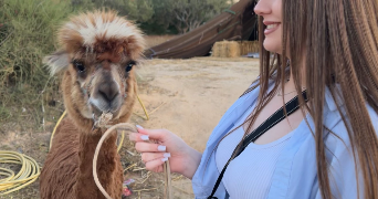 cantrel pet sitter à QUINCY SOUS SENART 91480_4