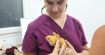 emma pet sitter à NUAILLE D AUNIS 17540_0