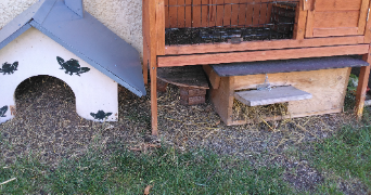benoit pet sitter à LE PLESSIS ROBINSON 92350_4