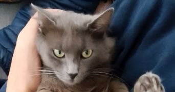 fanny pet sitter à JOUY SUR MORIN 77320_0