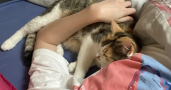 sarah pet sitter à TREMBLAY EN FRANCE 93290_4